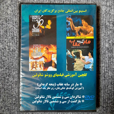 گلچین آموزشی فیلم های ووشو و شائولین